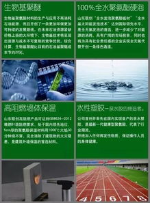 山東聯(lián)創(chuàng)新材料集團 以技術服務驅動材料創(chuàng)新與應用