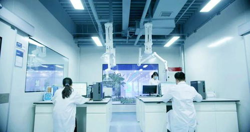 信息技術咨詢服務助力企業應對阿斯巴甜2B類致癌物新規