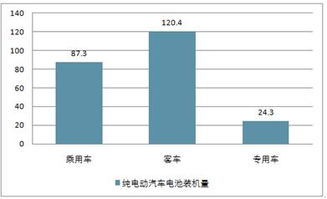 2019-2025年中國純電動(dòng)汽車市場(chǎng)調(diào)查與投資戰(zhàn)略分析報(bào)告